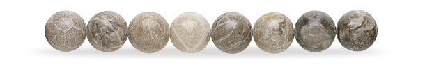 Fossil Coral Beads